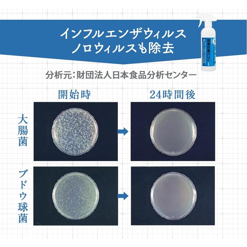 即納 除菌スプレー 500ml ウイルス対策 銀イオン ナノシルバー 日本製 除菌 手 スプレー 消臭 防カビ 安全 安心 消臭剤 | ブランド登録なし | 08