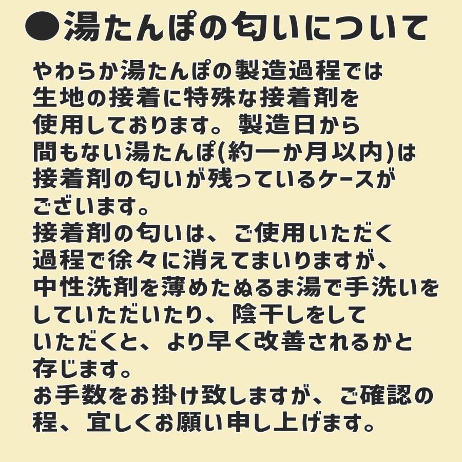 CLO'Z やわらか 湯たんぽ 足用 ショートタイプ Mサイズレッドクロッツ 履 く湯たんぽ 全身がポカポカに 節電 |  | 05