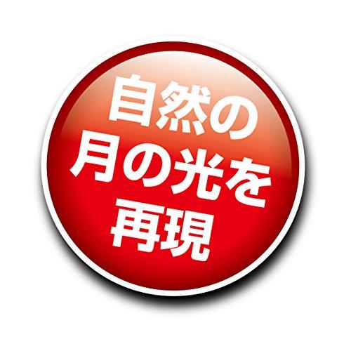 GEX EXOTERRA ナイトグロー ムーンライトランプ 50W 夜行性爬虫類用｜remtory｜03