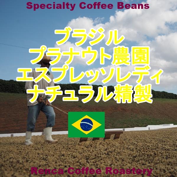 コーヒー豆 クーポン割 ブラジル 100g パンタノ農園 ブルボンアマレロ パルプドナチュラル フレンチロースト 珈琲豆｜rencacoffee