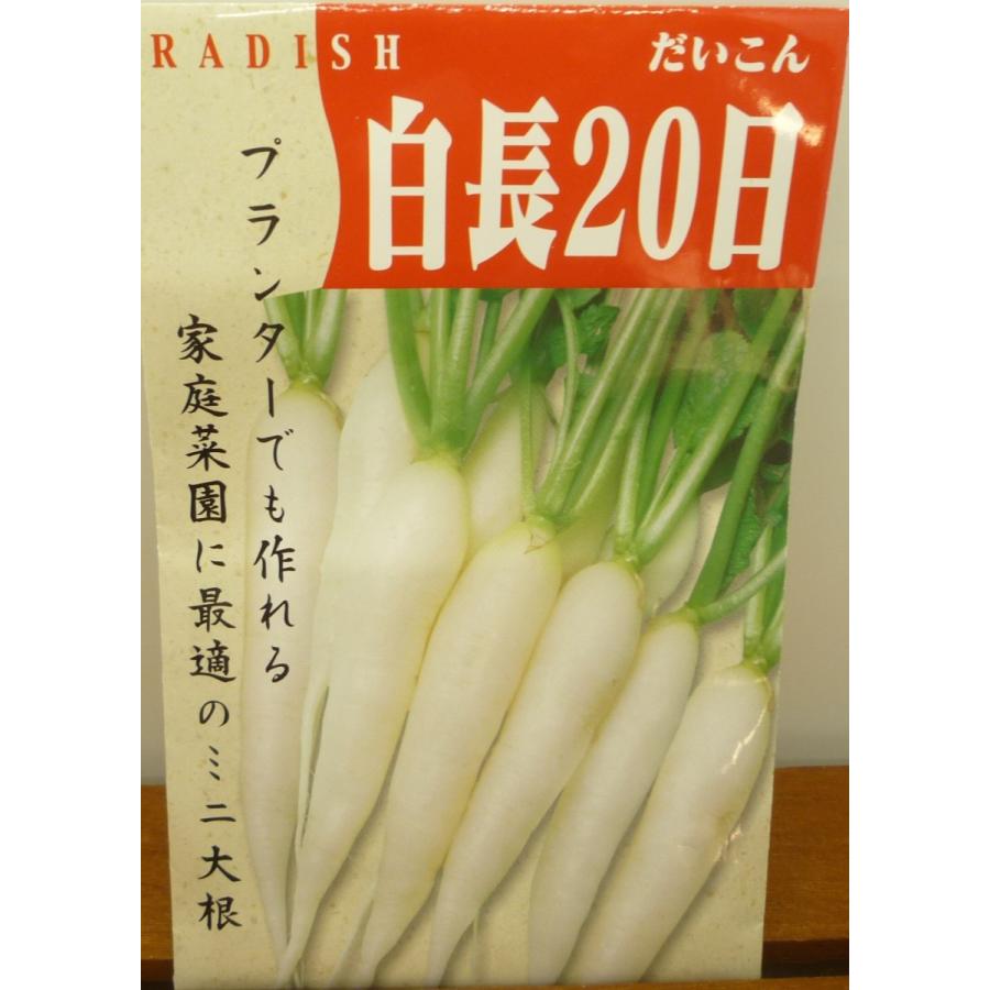 出色 野菜種子 白長２０日大根 約２００粒 セール