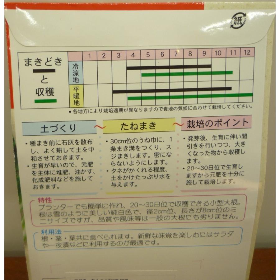 出色 野菜種子 白長２０日大根 約２００粒 セール