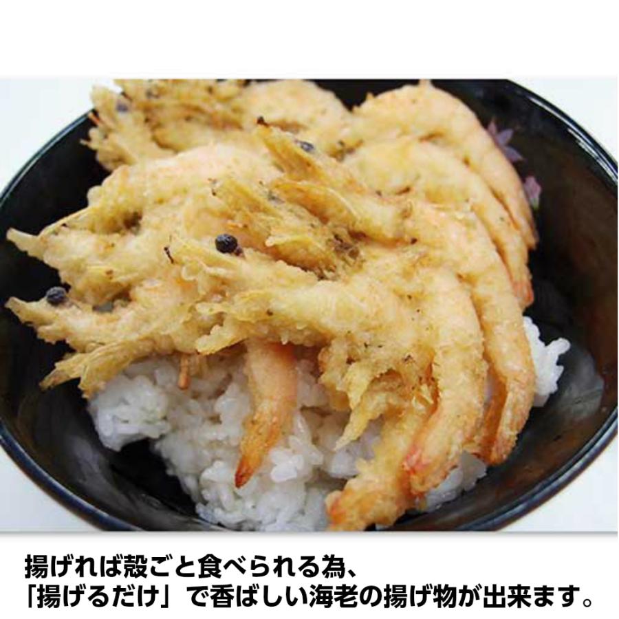 冷凍 海老 えび エビ 熊本県 天草産 天然 芝エビ Iqf 1kg 5袋セット 関東 中部 南東北は 送料無料 業務用 海鮮 魚介 9070 set れんかいっぴん Yahoo 店 通販 Yahoo ショッピング