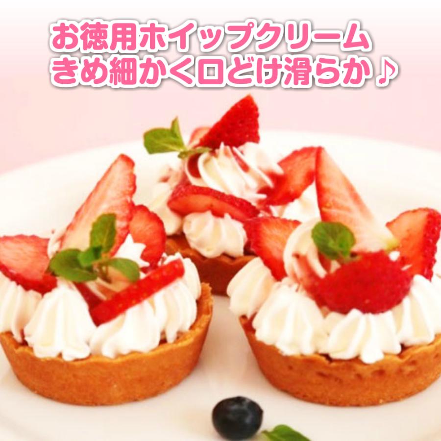 冷凍 Vps ホイップクリーム 1000ml 24本セット 関東 中部 絞るだけ 送料無料 製菓材料 南東北は 生クリーム 業務用 手数料安い 絞り口付き