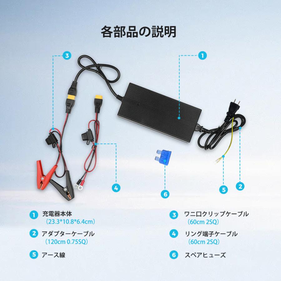RENOGY Renogy 24V 10A バッテリー充電器 リン酸鉄リチウム
