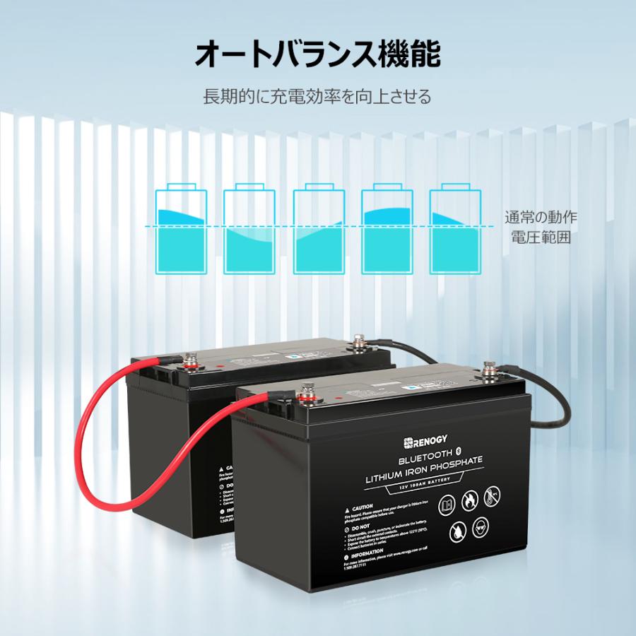 RENOGY レノジー リチウムイオンバッテリー 電池 12V 100Ah リン RENOGY レノジー リチウムイオンバッテリー 電池 12V 100Ah リン