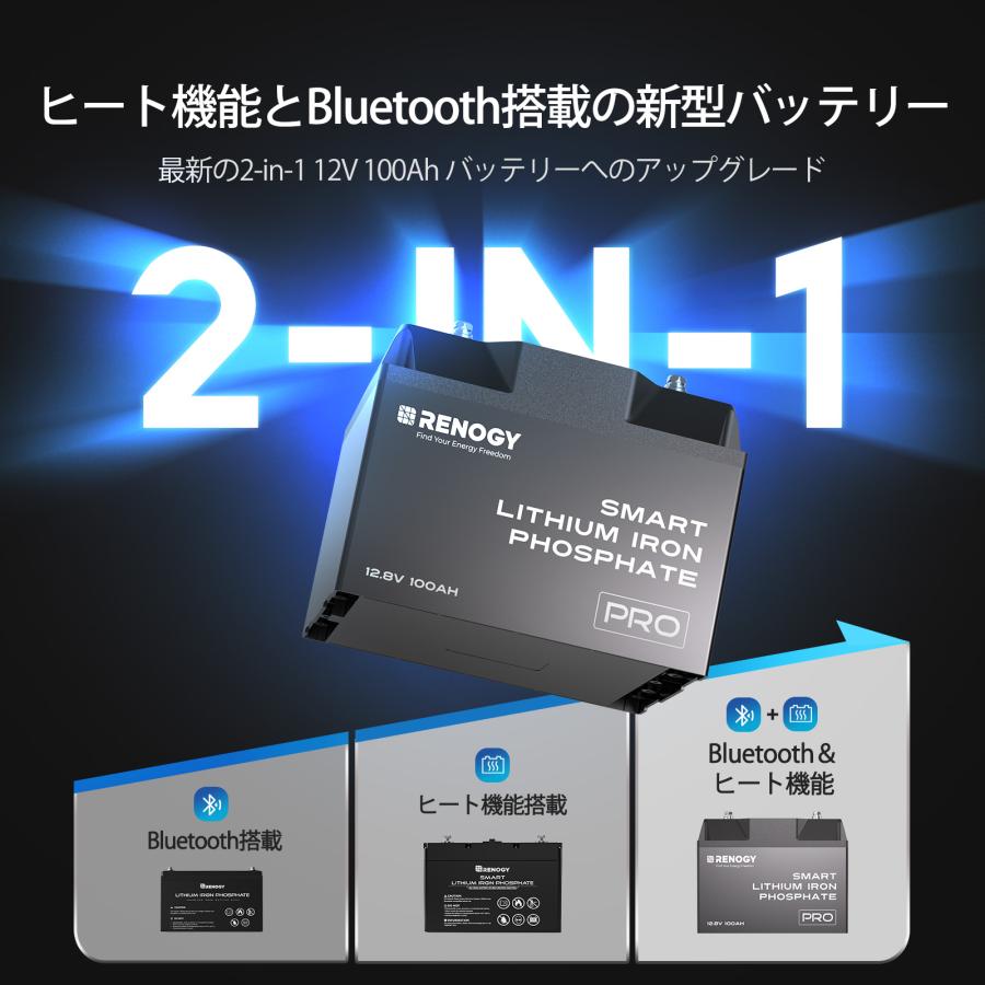 RENOGY（レノジー） 【SALE】RENOGY 12v 100ah リン酸鉄リチウムイオン 