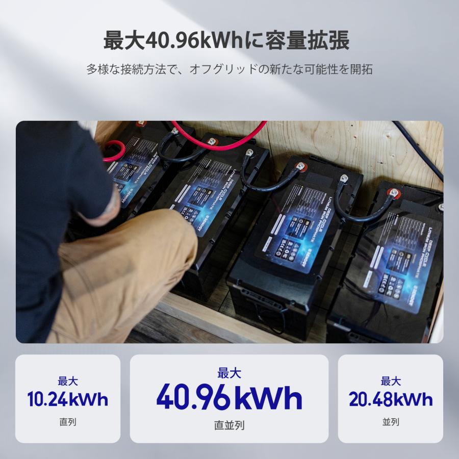 Renogy レノジー リン酸鉄リチウムイオンバッテリー 専用充電器12V20A 楽天市場】RENOGY 12V 20A バッテリー充電器 リン酸鉄リチウム