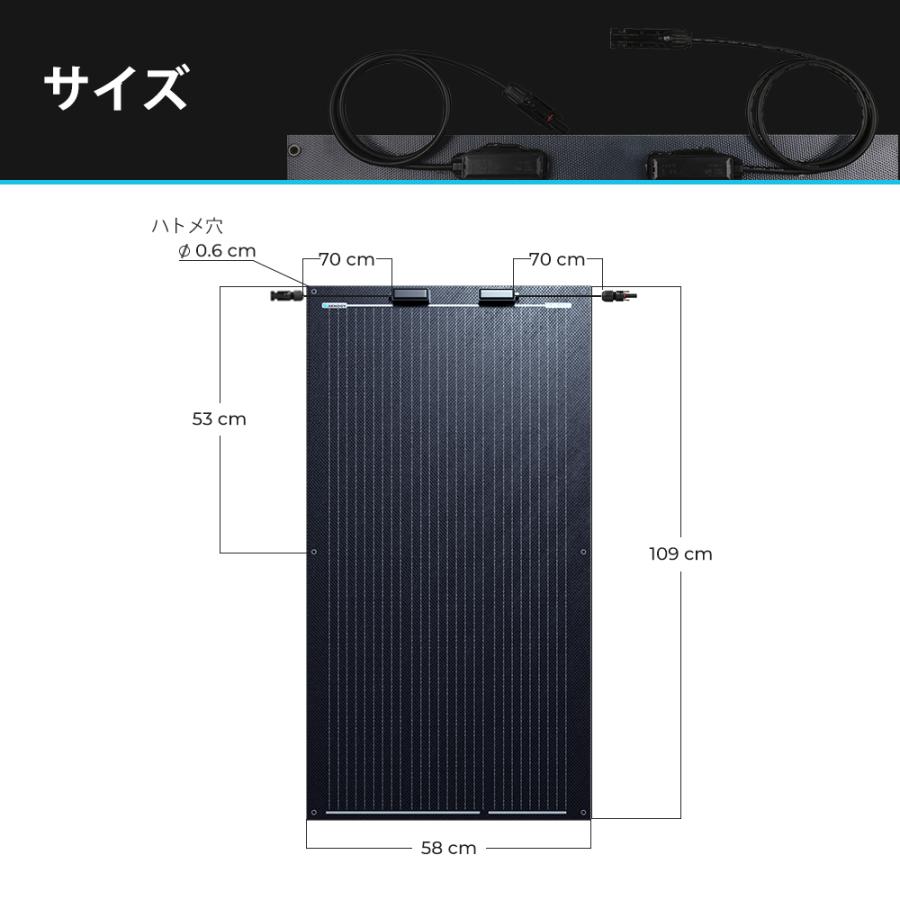 RENOGY（レノジー） RENOGY 100W フレキシブルソーラーパネル 12V