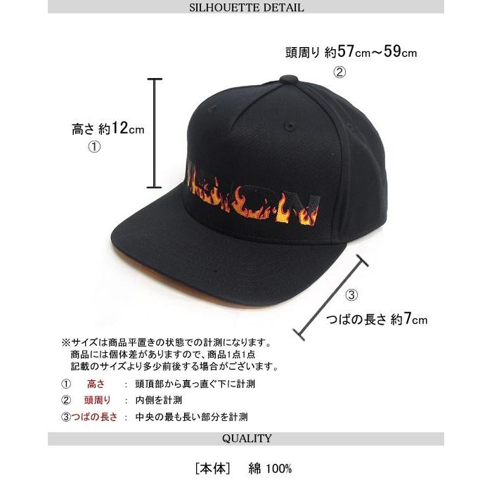 VISION STREET WEAR（ヴィジョンストリートウェア） キャップ キャップ