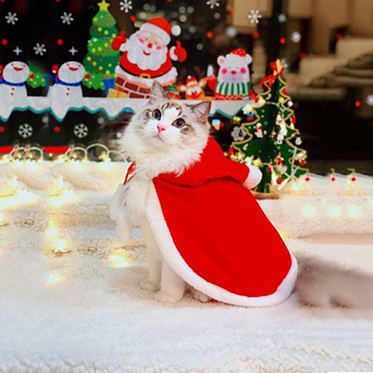 猫の服 犬の服 クリスマス ポンチョコート 冬 ドッグウェア 猫 インスタ映え ペット服 かわいい おしゃれ ペット用品 小型犬 マント G16 Pet10 がんばれちゃん 通販 Yahoo ショッピング