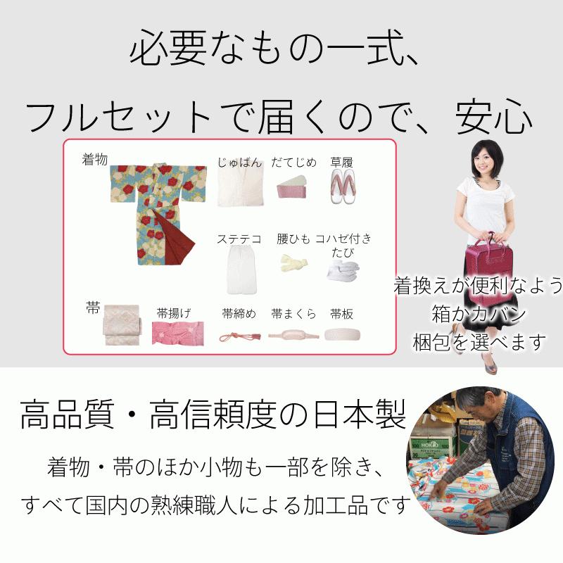 夏物 絽 訪問着 レンタル Mサイズ オフホワイト 破れ七宝 小桜 ワンタッチ｜rental-kimono｜09