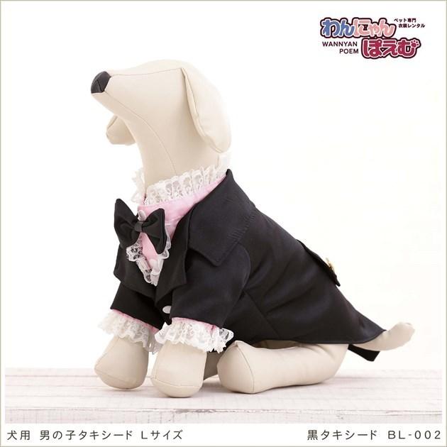 市松人形◇愛國作 / 小さな男の子◇39㎝ 髷 袴 犬張子 抱き人形 大正