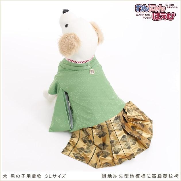 犬の着物レンタル 大型犬 男の子 d3l-012 ペット衣装 往復送料無料