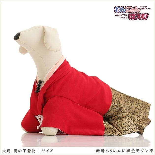 犬の着物レンタル 中型犬 男の子 dl-004 ペット衣装 往復送料無料 高級