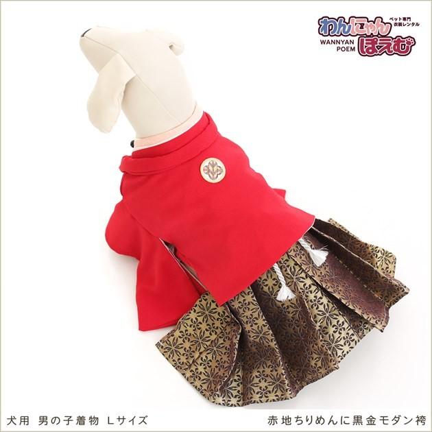 犬の着物レンタル 中型犬 男の子 dl-004 ペット衣装 往復送料無料 高級