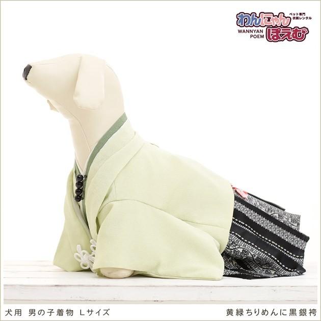 犬の着物レンタル 中型犬 男の子 dl-009 ペット衣装 往復送料無料 高級