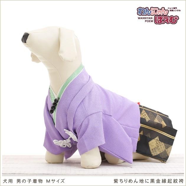 税込 男の子 中型犬 犬の着物レンタル 犬の着物レンタル 小 中型犬男の子ペット着物 Dm 008 撮影会 紫ちりめん地に黒金縁起紋袴 七五三 結婚式 かわいい 高級生地 往復送料無料 ペット衣装 レンタル Smssvg Org