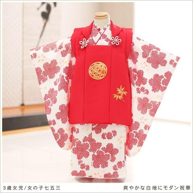 七五三振袖セット304