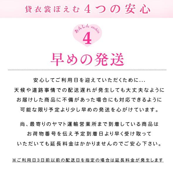 成人式 振袖レンタル 2025 １月 お正月 fb1012s 振り袖 着物レンタル 20歳 furisode レトロ 人気 HL　茶色に慶華｜rental-poem｜07