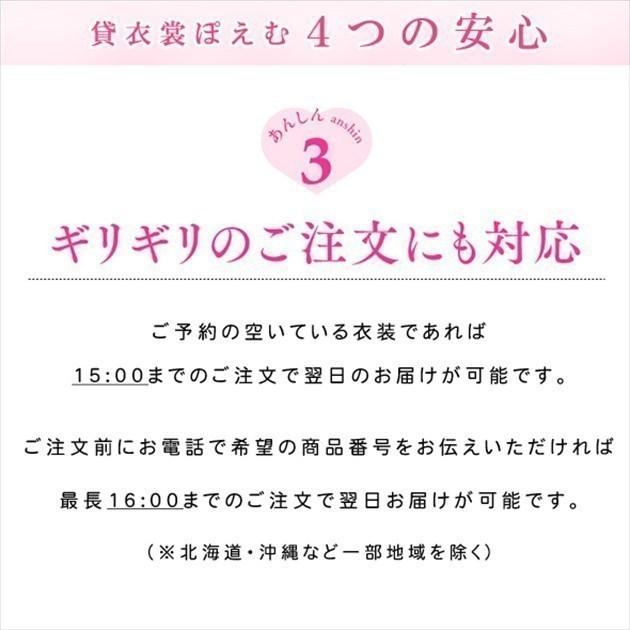 高身長スーパートールサイズ 振袖レンタル 結婚式 fb1491t 結納 卒業式