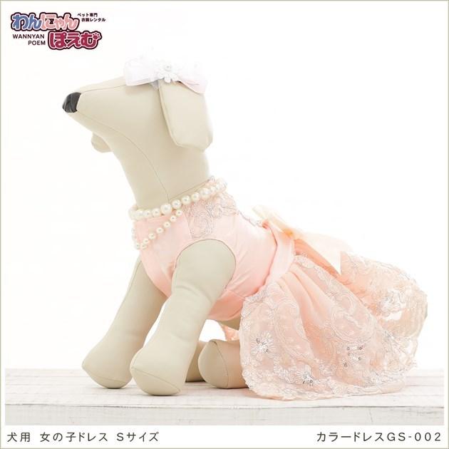 犬のお召しもの賃借 小型犬 うしろ帯 gs-002 愛玩動物お召しもの 色つやお召しもの 洋装 往復貨物輸送無料 御膳上等出どころ 愛くるしい かっこ良い 御芽出度 七五三 映画化会でき事「サクラ色」 レンタル-コスチューム、コスプレ衣装