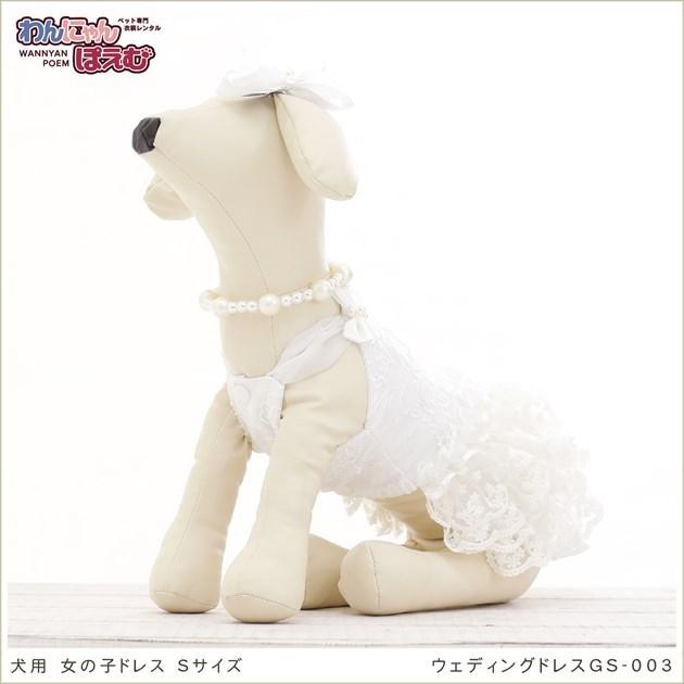 デュエルマスターズ フルfoilにじさんじ天門デッキ まとめ売り 大会