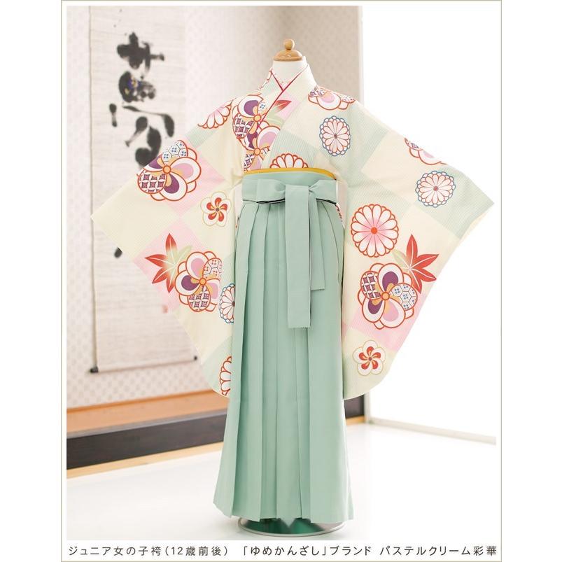 つ*し様 ☆銘仙☆中振袖☆単衣☆薔薇☆幾何学模様☆リメイク☆正絹