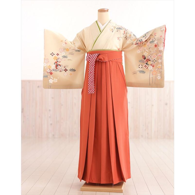 卒業式 袴レンタル 卒業袴 hwoh1137 大学 短大 専門学校 高校