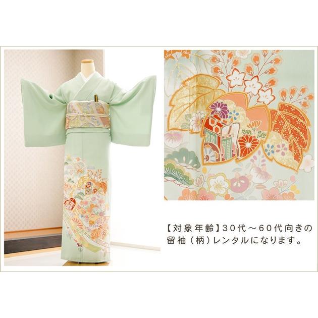 色留袖レンタル 京友禅 五つ紋 it032 結婚式 叙勲 卒業式 入学式 母親