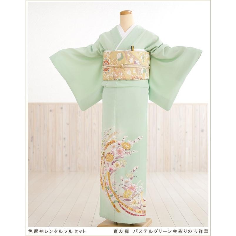 色留袖レンタル 五つ紋 it051 色留袖フルセット 結婚式 式典 色留袖レンタル 五つ紋 it051 色留袖フルセット 結婚式 式典