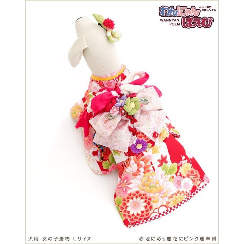 犬の着物レンタル 中型犬 女の子 klr-003 ペット衣装 振袖 dog 往復