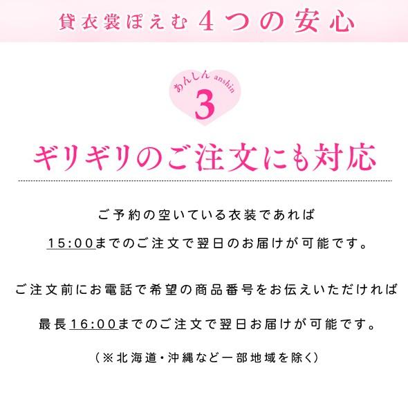 小紋レンタル 小紋 レンタル イベント 観劇 七五三 小振袖白 フルセット  着物 着物レンタル｜rental-poem｜07