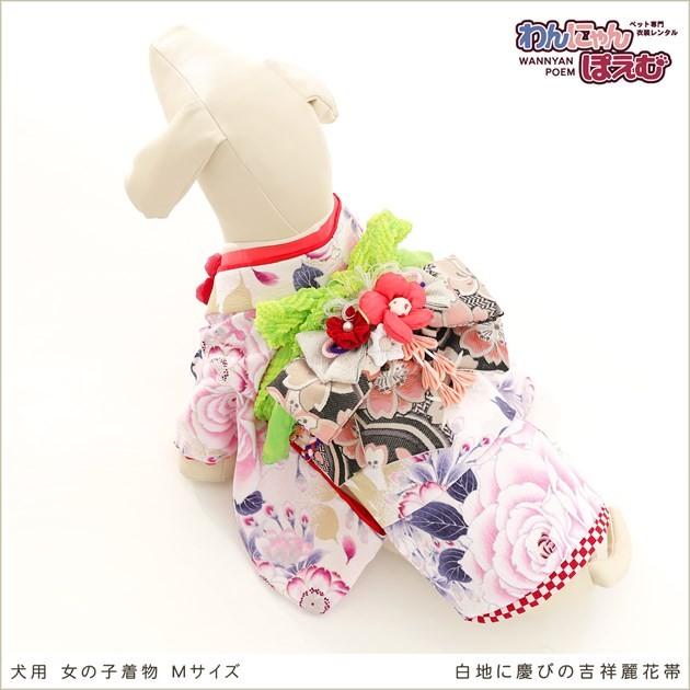 犬の着物レンタル 中型犬 女の子 kmr-003 ペット衣装 振袖 dog 往復