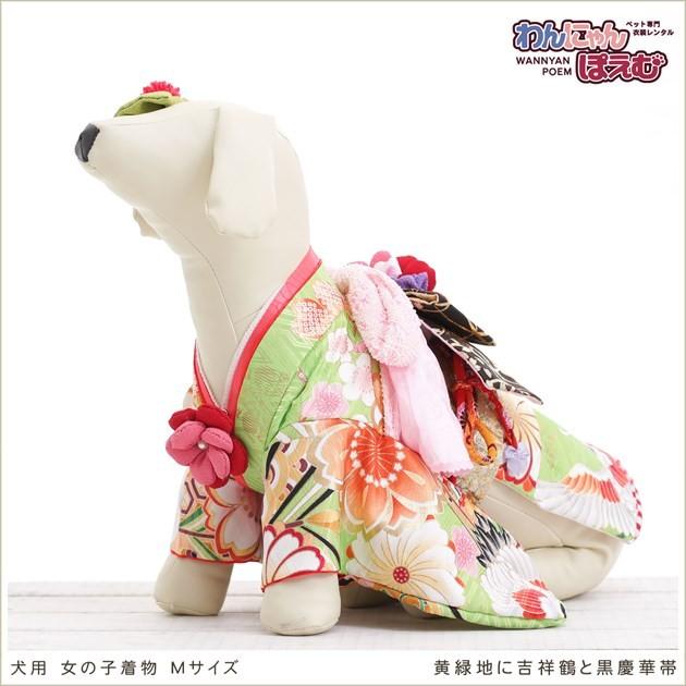 犬の着物レンタル 中型犬 女の子 Kmr 005 ペット衣装 振袖 Dog 往復送料無料 高級生地 かわいい 結婚式 七五三 撮影会 黄緑地に吉祥鶴と黒慶華帯 Kmr 005 貸衣裳ぽえむ 通販 Yahoo ショッピング