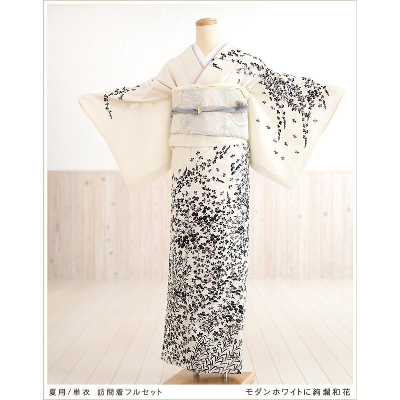 単衣　付け下げ　着物単品　洗える着物　絽紗　夏着物　辻が花　可憐　訪問着　N2 夏用・単衣 小さめ 訪問着レンタル sh1052s-2 着物レンタル 付け