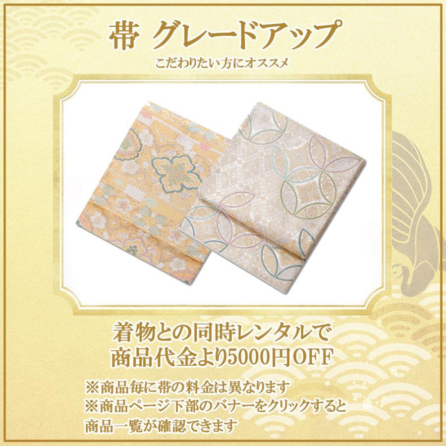 夏用 絽 訪問着レンタル sr5029 着物レンタル フルセット ママ 母親