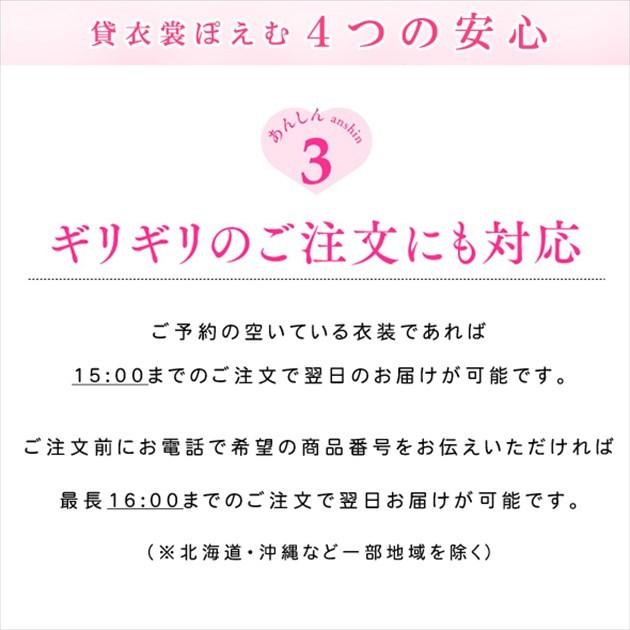 大きいサイズ 留袖レンタル th008 黒留袖レンタル 留め袖 結婚式 [京友禅金彩箔モデル 花の星座] 母親 親族 13号〜19号｜rental-poem｜10