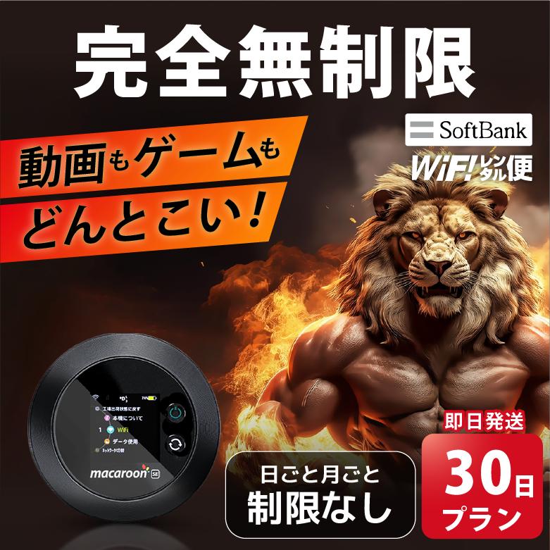 SoftBank SELECTION（ソフトバンクセレクション） ポケットwifi wifi