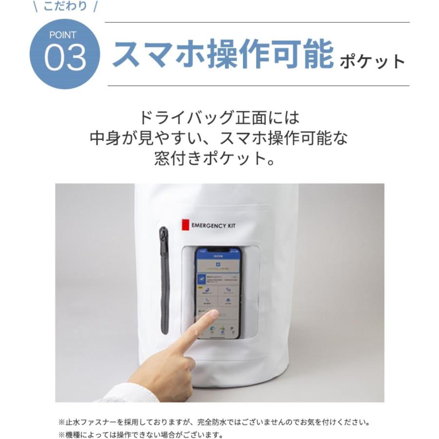 岸田産業 防災セット 緊急防災31点セット(2000E) 8-2000E 防災グッズ