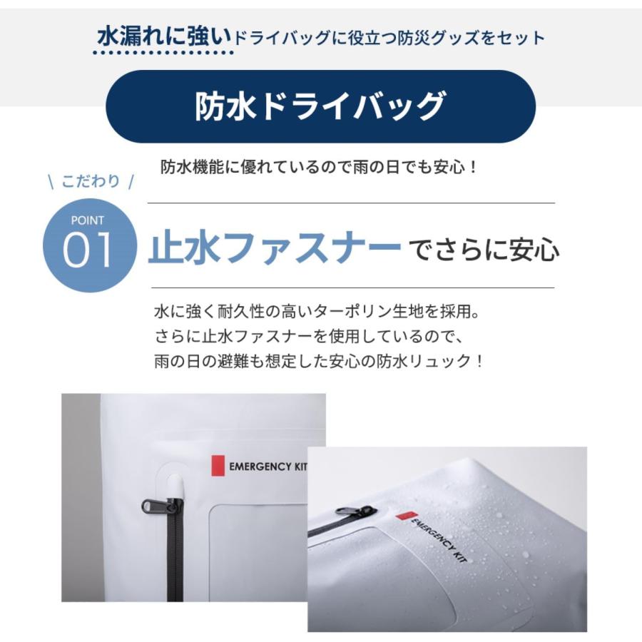 岸田産業 防災セット 緊急防災31点セット(2000E) 8-2000E 防災グッズ