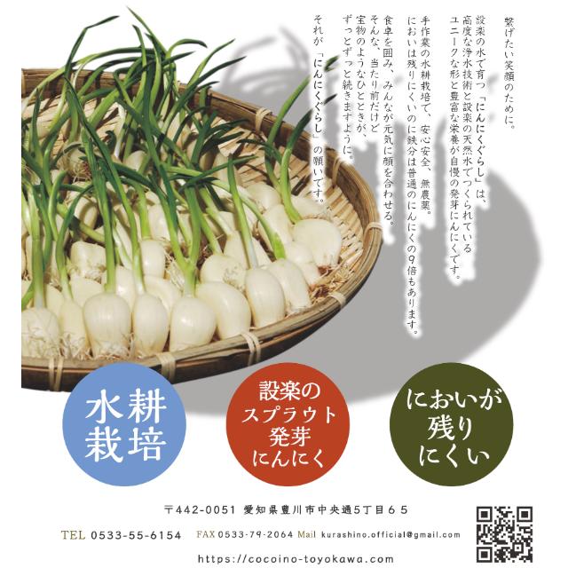 にんにくぐらし 発芽にんにく岩塩 国産にんにく100% 農薬不使用 食品添加物未使用 においが残りにくい ヒマラヤ岩塩 : glamour ...