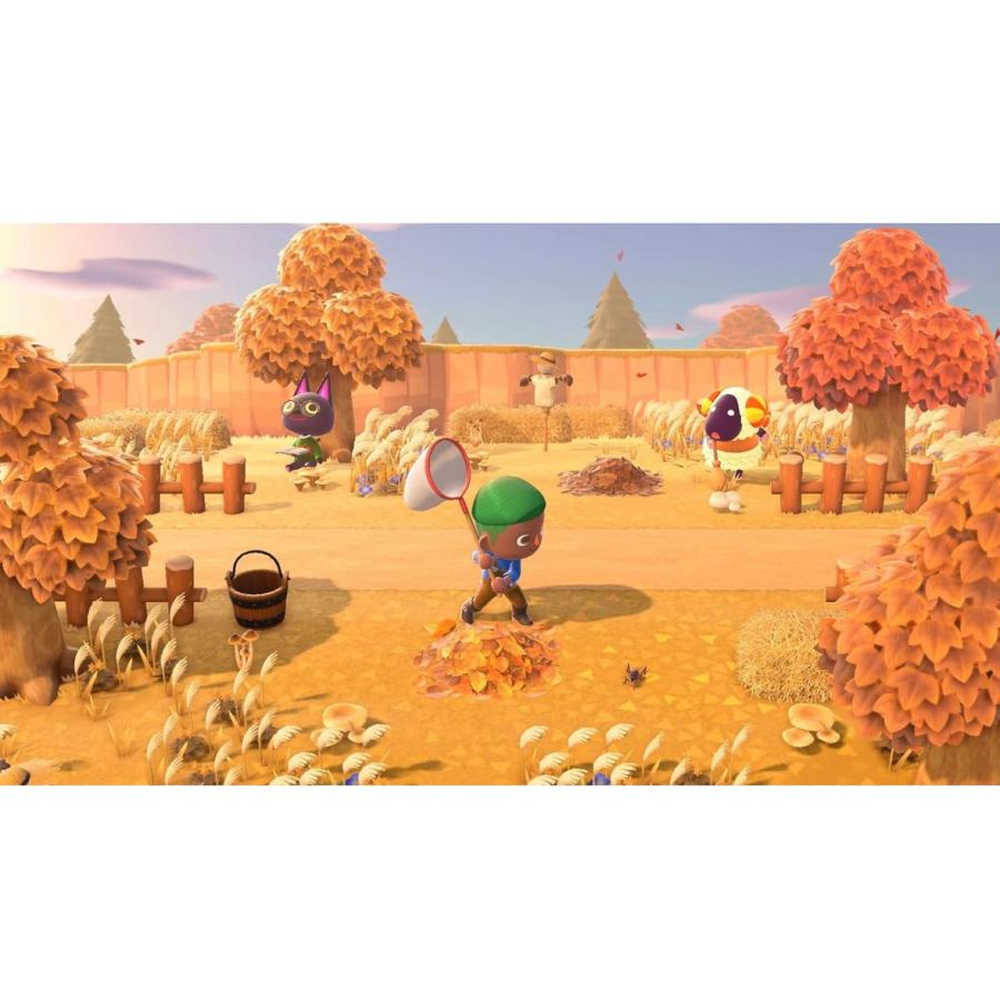 Nintendo Switch Lite 本体 あつまれ どうぶつの森 セット Nintendo Switch Lite 本体 あつまれ どうぶつの森 セット