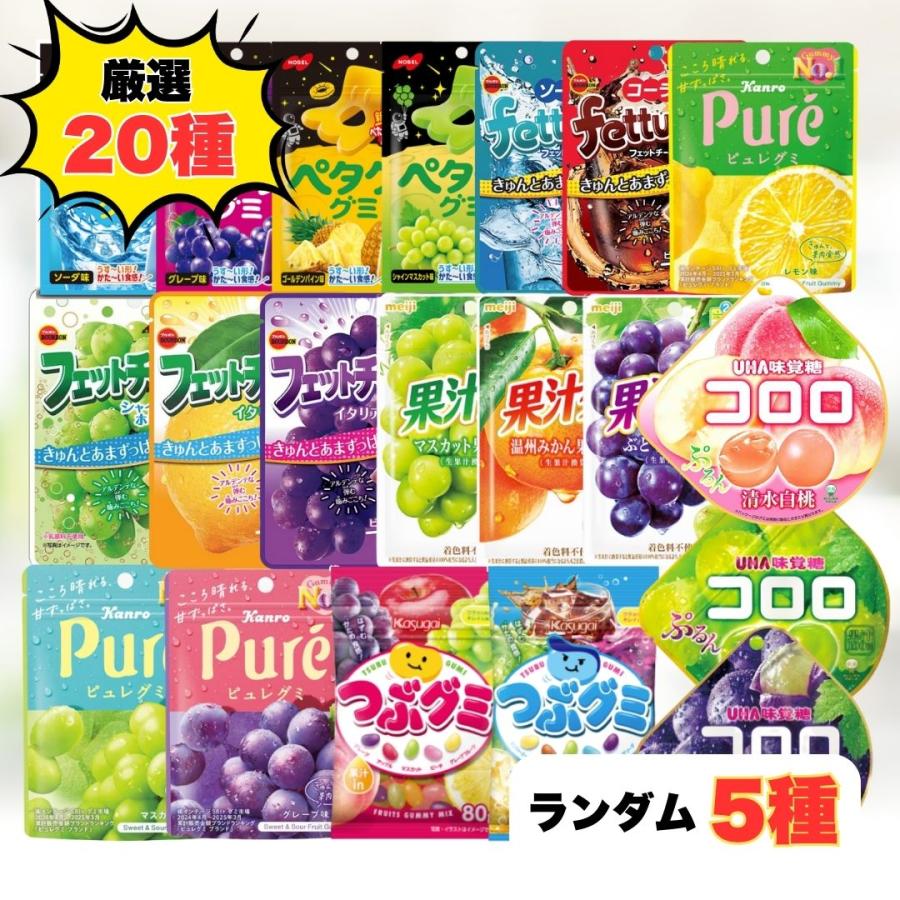 果汁グミ グミ 詰め合わせ 福袋 5種5個 人気 ぐみ お菓子 駄菓子
