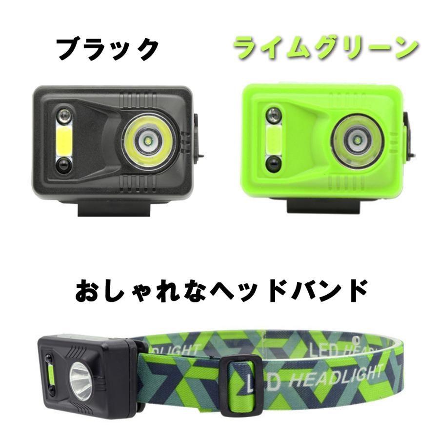 LEDLENSER ヘッドランプ 充電式 充電式LEDヘッドライト LED LENSER ヘッドライト本体 【通販