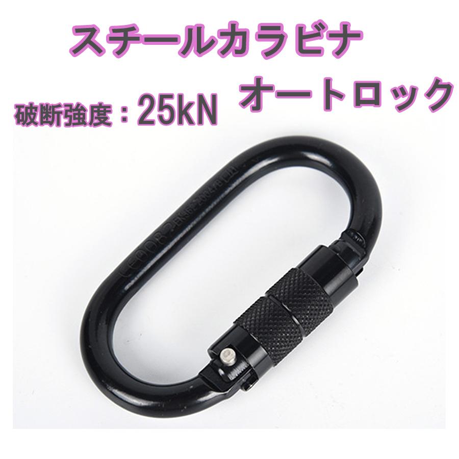 特別価格　A Last & Co カラビナ スチールカラビナ オートロック式 破断強度25kN（2.5t）CE EN 認証