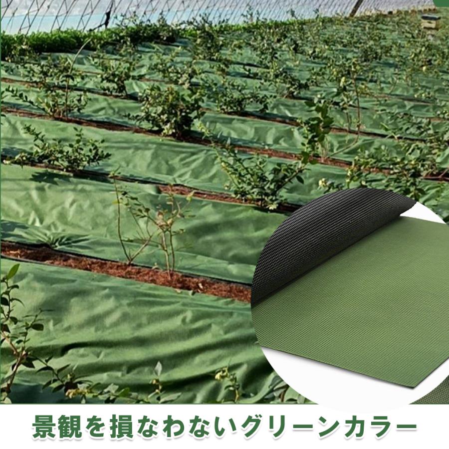 高品質除草シート　1m x 100m　グリーン 【除草シート　100メートル　高耐久　緑　マルチ】爆買_2