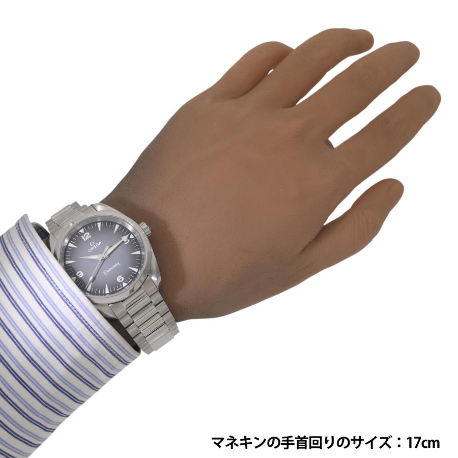 SEAMASTER [新品]オメガ シーマスター レイルマスター 235.10.38.20