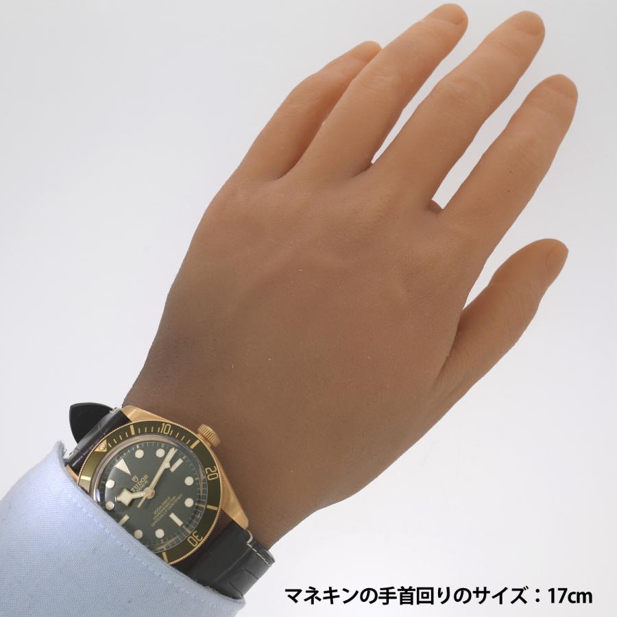 BLACK BAY [中古]チューダー ブラックべイ 58 18k M79018V-0001