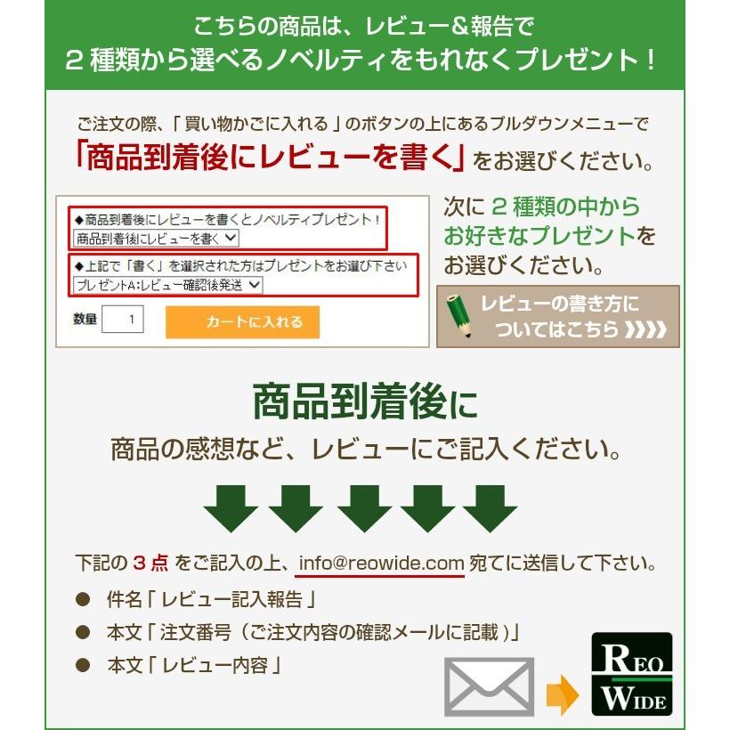 枕カバー 43×63cm 綿100％ おしゃれ サテン 日本製 ピローケース シルクのような肌触り 彩 ホテル仕様 ストライプ かわいい｜reowide-interior｜32